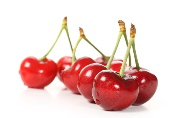 Cherries — Stock Photo, Image