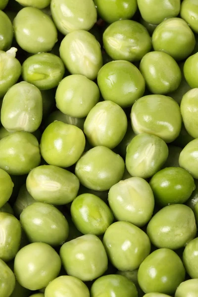 Ripe pea — Stock Photo, Image