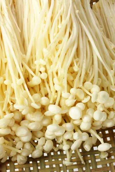 Enoki mushroom — Stock Photo, Image