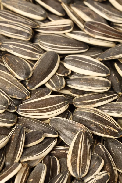 Sunflower seeds — Stock Photo, Image