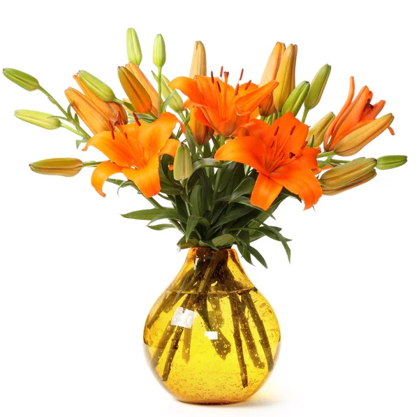 Orange lillies — Stockfoto