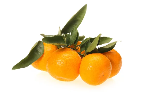 Orange — Stock Photo, Image