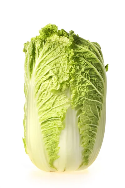 Chinese cabbage — Stock Photo, Image