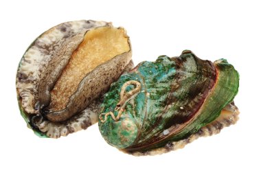 ham abalones