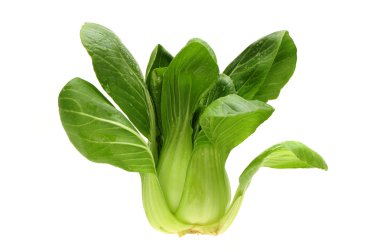Pok Choi