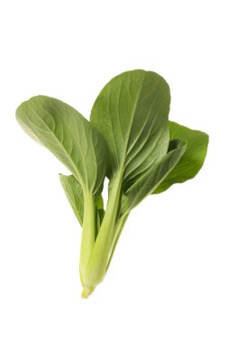 Pok Choi