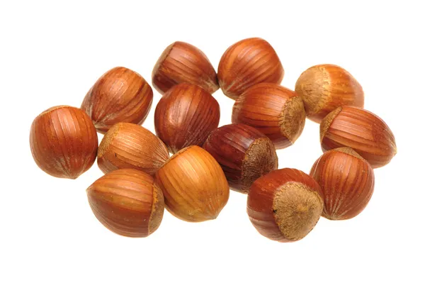 Heap of hazelnuts — Stock Photo, Image