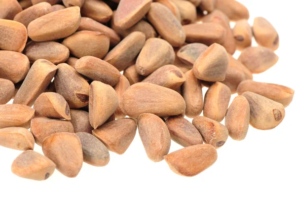 Nueces de pino — Foto de Stock