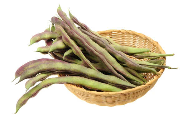 Haricots verts — Photo