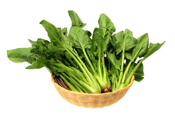 Spinach — Stock Photo, Image