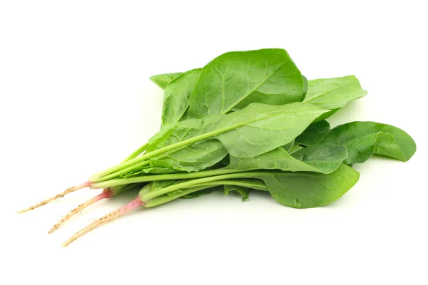 Spinach — Stock Photo, Image