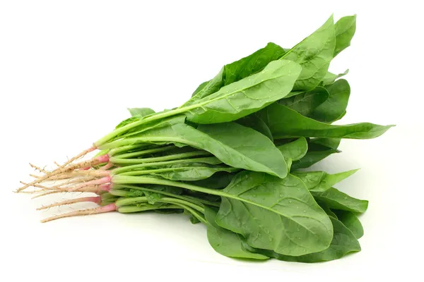 Spinach — Stock Photo, Image