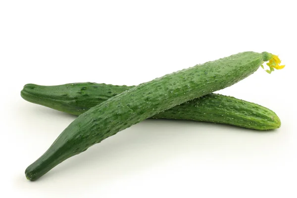 Cucumber — Stock Photo, Image