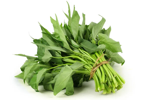 Water spinach — Stock Photo, Image