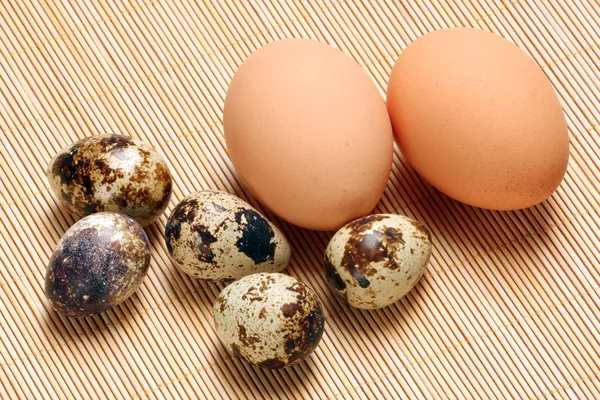 鸡鸡蛋和鹌鹑蛋 — 图库照片