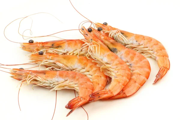 Boiled shrimp — Stock Photo, Image