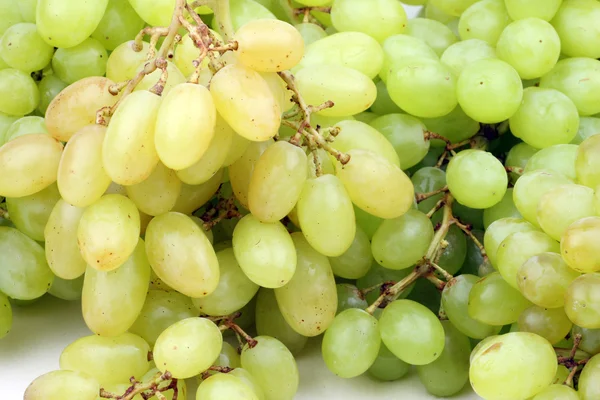 Ramo de uvas frescas — Foto de Stock