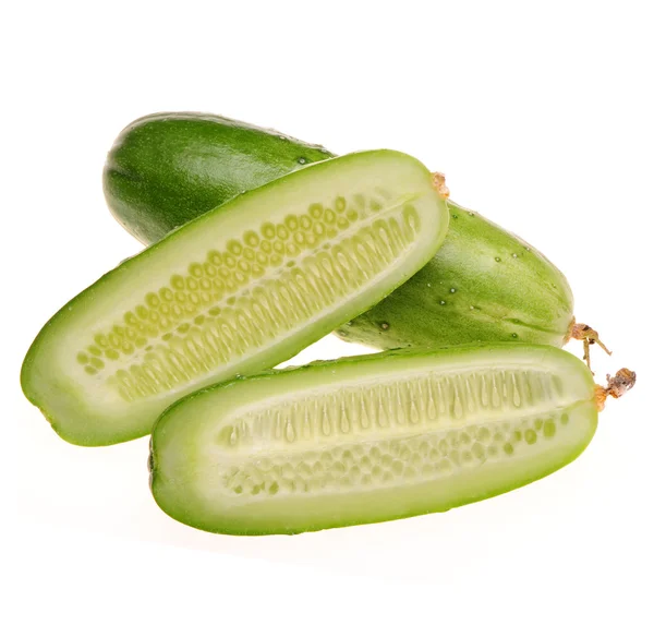 Green cucumber on the white background — Stock Photo, Image