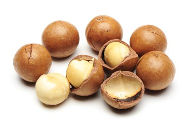 Macadamia fındık