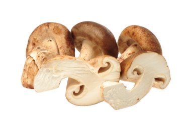 shiitake mantar