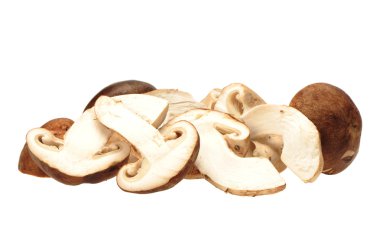 shiitake mantar