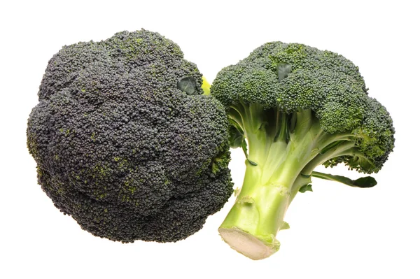 Broccoli — Stockfoto