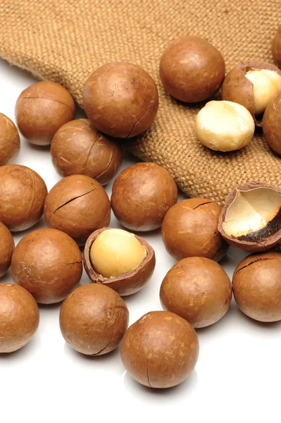 Macadamia nuts — Stock Photo, Image