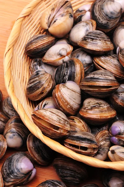 Lebende Muscheln — Stockfoto