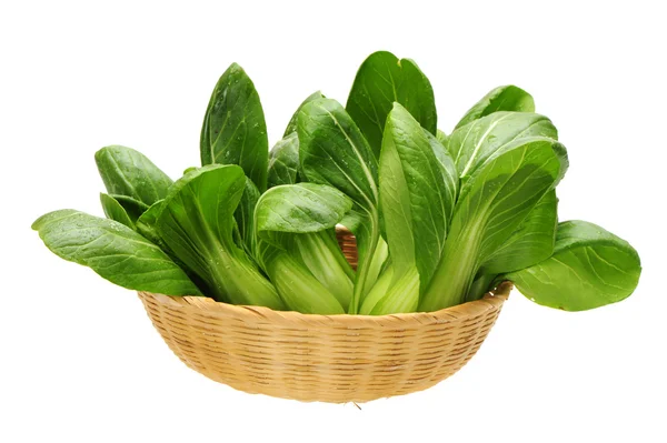 Bok choy — Stock Photo, Image