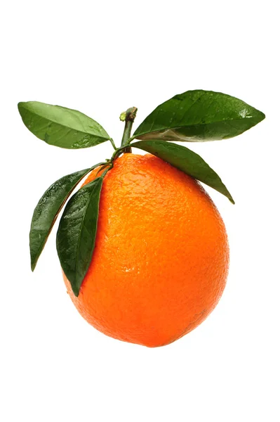 Narancs és levél — Stock Fotó