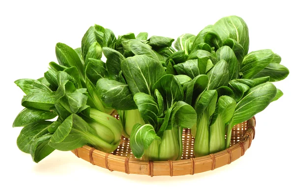 Bok choy —  Fotos de Stock