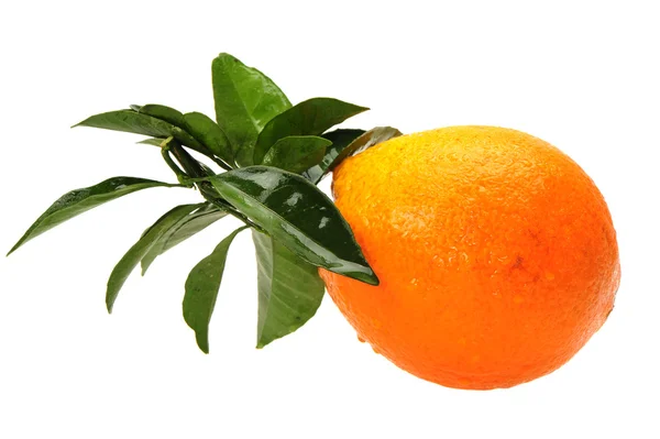 Naranja y hoja — Foto de Stock