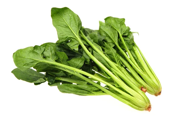 Fresh spinach — Stock Photo, Image