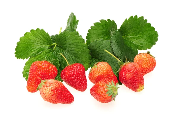 Erdbeeren — Stockfoto