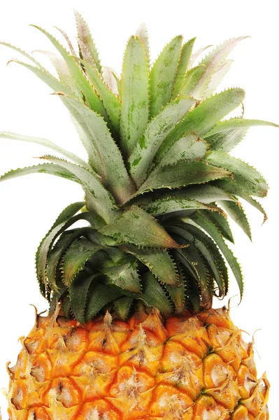 COLORFUL PINEAPPLE — Stock Photo, Image