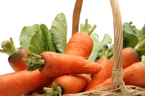 Carrot — Stock Photo, Image