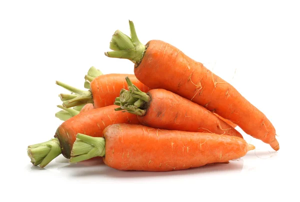 Carrot — Stock Photo, Image