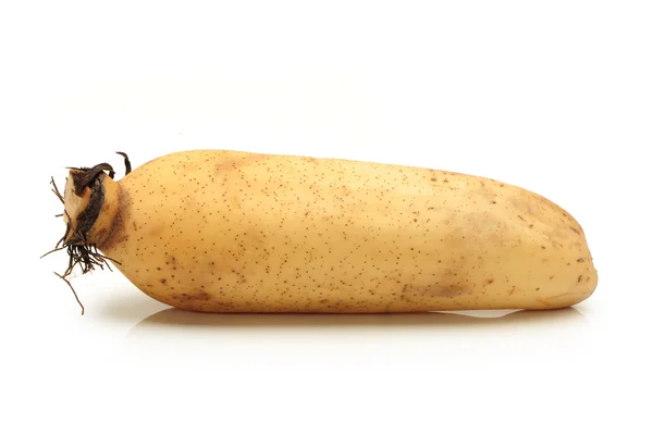 Lotus root — Stock Photo, Image