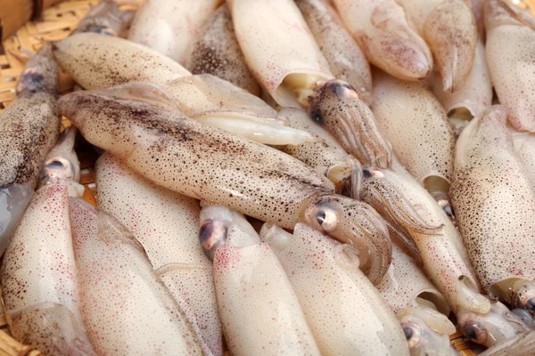 Small Freshly Steamed Squids — Stock Photo, Image