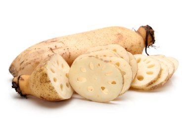 Lotus Root