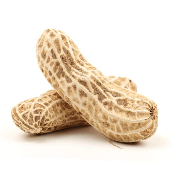 Peanut — Stock Photo, Image