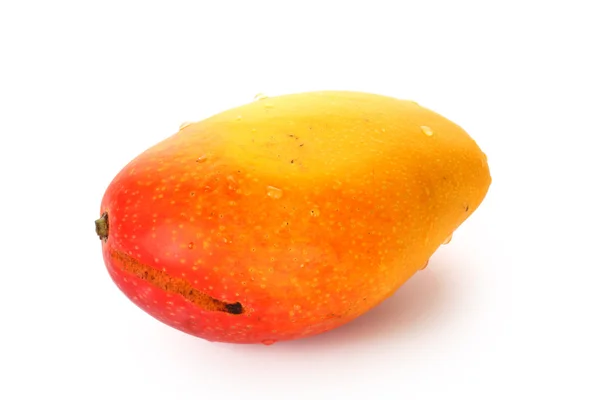 Mango. —  Fotos de Stock