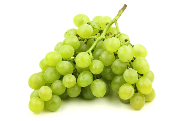 Grape — Stock Photo, Image