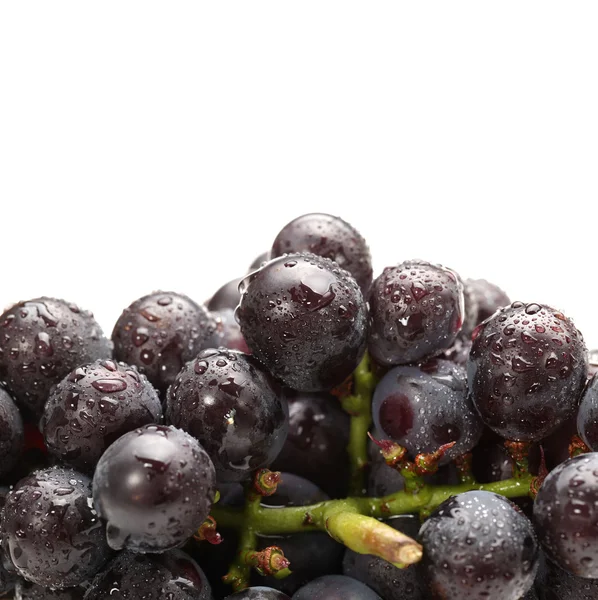 Червоний виноград — стокове фото