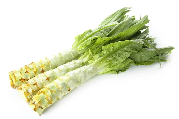 Lettuce — Stock Photo, Image