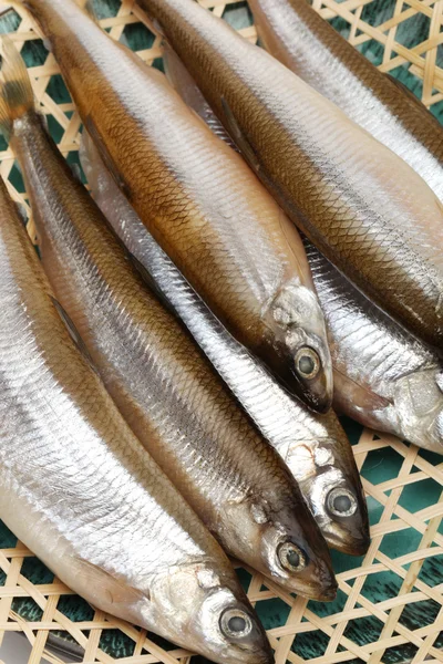 Frischer Fisch auf Bank — Stockfoto