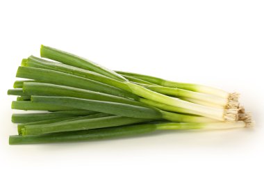 Bio pırasa