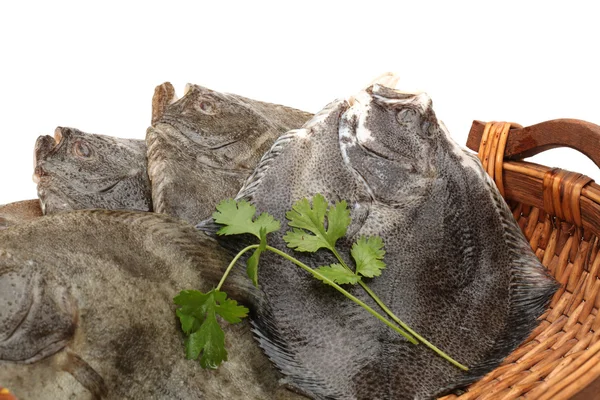 Flounder fishes — Stock Photo, Image