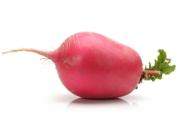 Red Radish — Stock Photo, Image