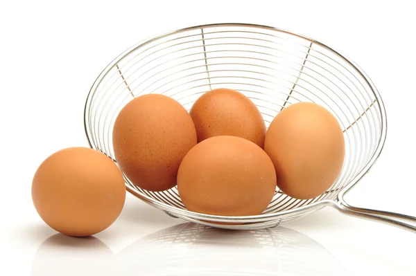Huevos aislados en el fondo blanco —  Fotos de Stock